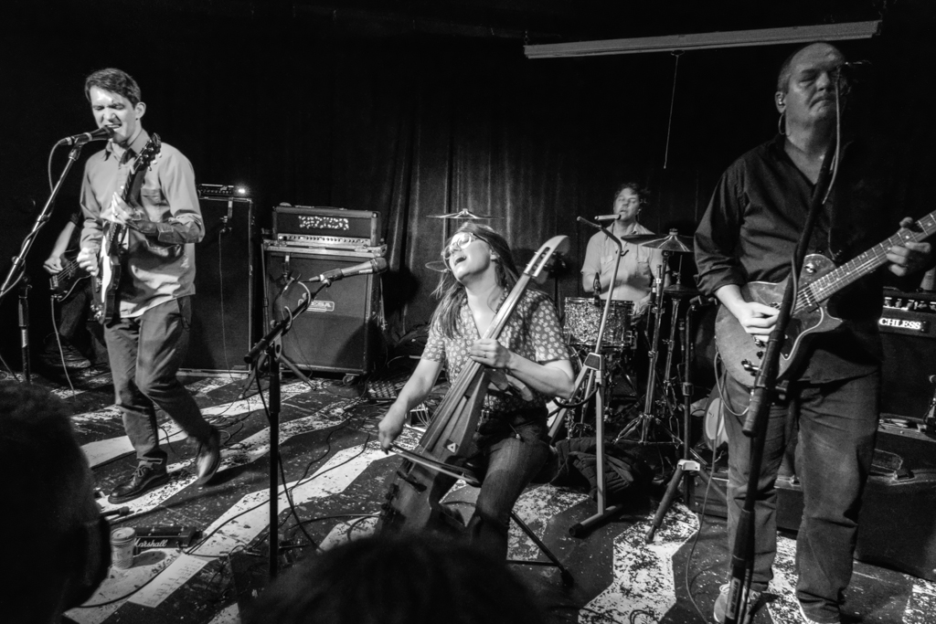 Shot in Columbus Cursive & Leggy at Ace of Cups Columbus Calling