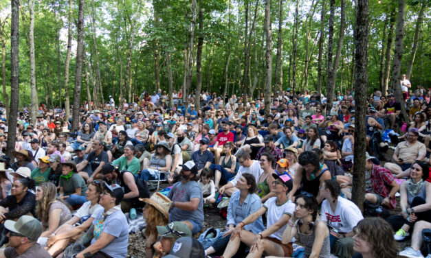 Nelsonville Music Festival 2026 – The 20th Anniversary!!